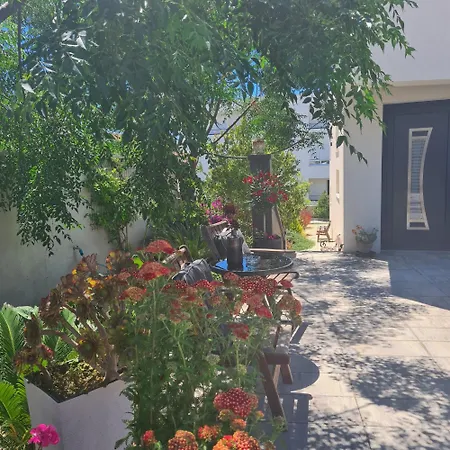 Affittacamere Queen Zara